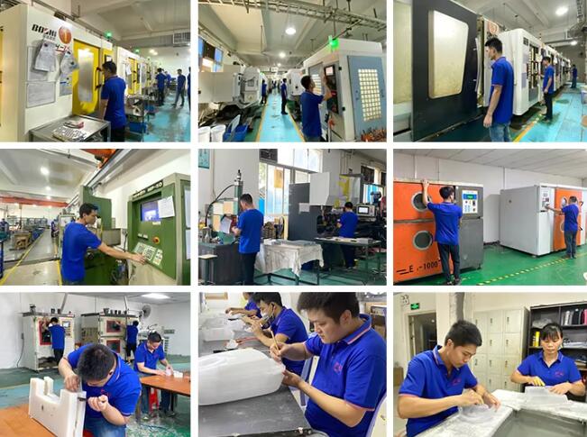 1769075867531276.jpg 3d-2.jpg